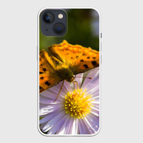 Чехол для iPhone 13 с принтом Бабочка и ромашка ,  |  | бабочка | макро | насекомые | ромашка | цветы