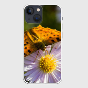 Чехол для iPhone 13 mini с принтом Бабочка и ромашка ,  |  | бабочка | макро | насекомые | ромашка | цветы