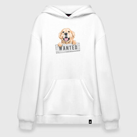 Худи SuperOversize хлопок с принтом Dog Wanted , 70% хлопок, 30% полиэстер, мягкий начес внутри | карман-кенгуру, эластичная резинка на манжетах и по нижней кромке, двухслойный капюшон
 | cute | dog | wanted | woof | гав | забавный | пес | песель | песик | смешной | собака | собачка | щенок