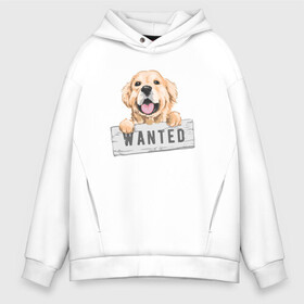 Мужское худи Oversize хлопок с принтом Dog Wanted , френч-терри — 70% хлопок, 30% полиэстер. Мягкий теплый начес внутри —100% хлопок | боковые карманы, эластичные манжеты и нижняя кромка, капюшон на магнитной кнопке | cute | dog | wanted | woof | гав | забавный | пес | песель | песик | смешной | собака | собачка | щенок