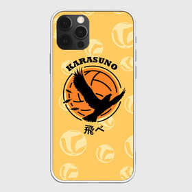 Чехол для iPhone 12 Pro с принтом Старшая школа Карасуно Haikyu! , силикон | область печати: задняя сторона чехла, без боковых панелей | anime | haikyu | haikyuu | karasuno | karasuno high | manga | аниме | волейбол | волейбольный клуб | ворон | вороны | карасуно | крылья | лого | логотип | манга | надпись | птица | старшая школа | хаику | хаикую