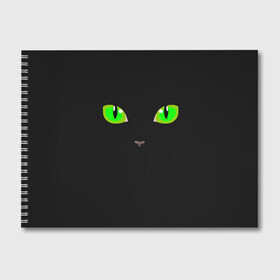 Альбом для рисования с принтом КОШАЧЬИ ГЛАЗКИ , 100% бумага
 | матовая бумага, плотность 200 мг. | Тематика изображения на принте: cat | cat eyes | eyes | аниме | взгляд | глаза | глаза кошки | глазки | животные | зелёный | киса | кот | коте | котейка | котенок | котэ | котя | кошачий глаз | кошачьи глаза | кошечка | кошка | мордочка