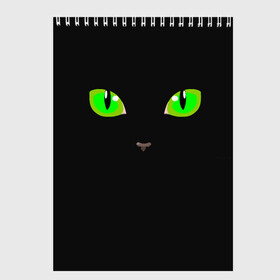 Скетчбук с принтом КОШАЧЬИ ГЛАЗКИ , 100% бумага
 | 48 листов, плотность листов — 100 г/м2, плотность картонной обложки — 250 г/м2. Листы скреплены сверху удобной пружинной спиралью | Тематика изображения на принте: cat | cat eyes | eyes | аниме | взгляд | глаза | глаза кошки | глазки | животные | зелёный | киса | кот | коте | котейка | котенок | котэ | котя | кошачий глаз | кошачьи глаза | кошечка | кошка | мордочка