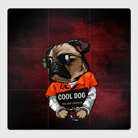 Магнитный плакат 3Х3 с принтом Cool dog , Полимерный материал с магнитным слоем | 9 деталей размером 9*9 см | арт | графика | животные | заключенный | звери | зек | мопс | наручники | собака