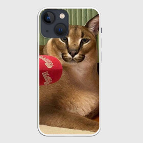 Чехол для iPhone 13 mini с принтом Шлёпа ,  |  | Тематика изображения на принте: floppa | большой | военный | каракал | кот | преступник | русский | шлёпа