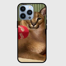 Чехол для iPhone 13 Pro с принтом Шлёпа ,  |  | floppa | большой | военный | каракал | кот | преступник | русский | шлёпа
