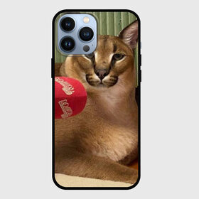 Чехол для iPhone 13 Pro Max с принтом Шлёпа ,  |  | floppa | большой | военный | каракал | кот | преступник | русский | шлёпа