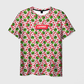 Мужская футболка 3D с принтом Арбузы , 100% полиэфир | прямой крой, круглый вырез горловины, длина до линии бедер | арбузы | лето | паттерн | фрукты | ягоды