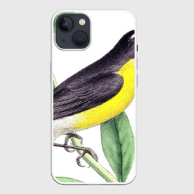 Чехол для iPhone 13 с принтом Птица ,  |  | animal | animals | bird | birds | black | blue | colorful | cool | crow | cute | forest | fun | funny | green | mountains | music | nature | pat | pink | raven | retro | tree | vintage | wildlife | yellow | ветка | желтый | животные | листья | природа | п