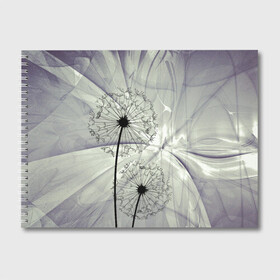 Альбом для рисования с принтом Одуванчики , 100% бумага
 | матовая бумага, плотность 200 мг. | волны | мятое | одуванчик | одуванчики | пух | серый фон | цветок