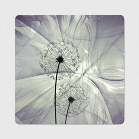 Магнит виниловый Квадрат с принтом Одуванчики , полимерный материал с магнитным слоем | размер 9*9 см, закругленные углы | Тематика изображения на принте: волны | мятое | одуванчик | одуванчики | пух | серый фон | цветок