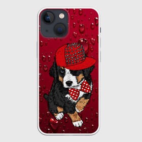 Чехол для iPhone 13 mini с принтом Cool Dog ,  |  | арт | бабочка | графика | животные | звери | кепка | собака