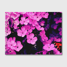Альбом для рисования с принтом Цветочный Альянс! , 100% бумага
 | матовая бумага, плотность 200 мг. | краски | лес. | отдых | природа | сад | свежесть | спокойствие | цветочки