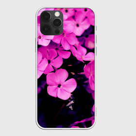Чехол для iPhone 12 Pro с принтом Цветочный Альянс! , силикон | область печати: задняя сторона чехла, без боковых панелей | краски | лес. | отдых | природа | сад | свежесть | спокойствие | цветочки