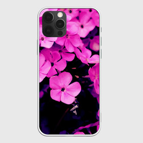 Чехол для iPhone 12 Pro Max с принтом Цветочный Альянс! , Силикон |  | краски | лес. | отдых | природа | сад | свежесть | спокойствие | цветочки