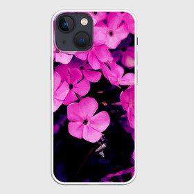 Чехол для iPhone 13 mini с принтом Цветочный Альянс ,  |  | краски | лес. | отдых | природа | сад | свежесть | спокойствие | цветочки