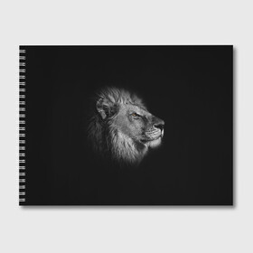 Альбом для рисования с принтом Гордый лев , 100% бумага
 | матовая бумага, плотность 200 мг. | Тематика изображения на принте: взгляд | грива | зверь | кот | кошка | лев | мудрость | профиль | царь