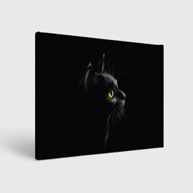 Холст прямоугольный с принтом Черный кот , 100% ПВХ |  | взгляд | глаза | киса | киска | кот | котик | котяра | профиль | пушистый | усы
