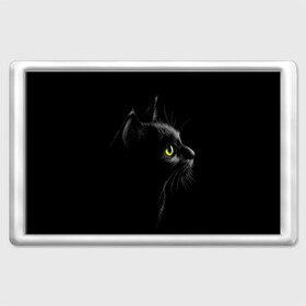 Магнит 45*70 с принтом Черный кот , Пластик | Размер: 78*52 мм; Размер печати: 70*45 | Тематика изображения на принте: взгляд | глаза | киса | киска | кот | котик | котяра | профиль | пушистый | усы