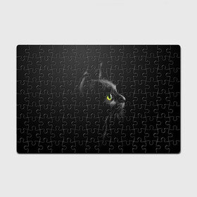 Головоломка Пазл магнитный 126 элементов с принтом Черный кот , полимерный материал с магнитным слоем | 126 деталей, размер изделия —  180*270 мм | взгляд | глаза | киса | киска | кот | котик | котяра | профиль | пушистый | усы