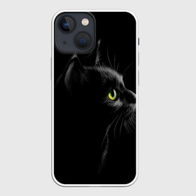 Чехол для iPhone 13 mini с принтом Черный кот ,  |  | взгляд | глаза | киса | киска | кот | котик | котяра | профиль | пушистый | усы