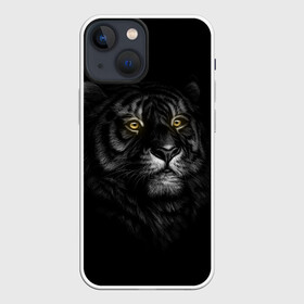Чехол для iPhone 13 mini с принтом Тигр ,  |  | взгляд | глаза | киса | киска | кот | котик | котяра | профиль | пушистый | тигр | усы