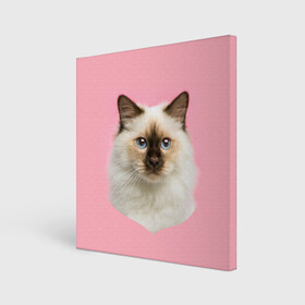 Холст квадратный с принтом Пушистый кот , 100% ПВХ |  | белоснежный | взгляд | глаза | голубоглазый | киса | киска | кот | котик | котяра | профиль | пушистый | усы | уши