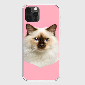 Чехол для iPhone 12 Pro Max с принтом Пушистый кот , Силикон |  | белоснежный | взгляд | глаза | голубоглазый | киса | киска | кот | котик | котяра | профиль | пушистый | усы | уши