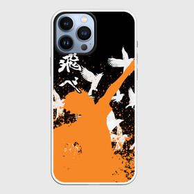 Чехол для iPhone 13 Pro Max с принтом Волейбол   Вороны ,  |  | anime | haikyu | manga | аниме | волейбол | манга | хината | шоё хината