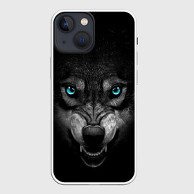 Чехол для iPhone 13 mini с принтом ВОЛК В АБСОЛЮТНОЙ ТЬМЕ ,  |  | волк | злость | зубы | ночь | опасность | оскал | тьма | хишник | ярость