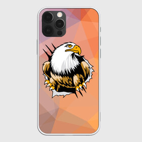 Чехол для iPhone 12 Pro с принтом Орел 3D , силикон | область печати: задняя сторона чехла, без боковых панелей | eagle | орел | орленок | орлиный взгляд | птица | птичка | хищная птица
