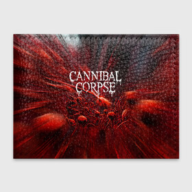 Обложка для студенческого билета с принтом Blood Cannibal Corpse | Труп Каннибала (Z) , натуральная кожа | Размер: 11*8 см; Печать на всей внешней стороне | cannibal | cannibal corpse | corpse | death metal | deathgrind | алекс уэбстер | брутальный дэт метал | дэт метал | дэтграйнд | пол мазуркевич | роб барретт | труп каннибала