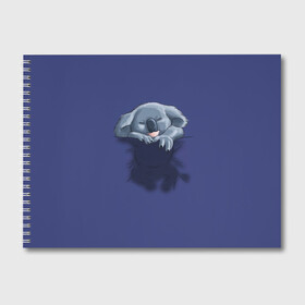 Альбом для рисования с принтом Спящая коала , 100% бумага
 | матовая бумага, плотность 200 мг. | koala | арт | детеныш | детёныш коалы | животное | зверь | карман на груди | коала | малыш | медведь | медвежонок | милота | милые животные | милые звери | милые зверьки | мимими | мишка | ребенок