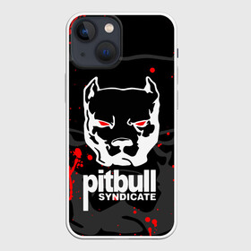 Чехол для iPhone 13 mini с принтом PITBULL SYNDICATE   ПИТБУДЬ ,  |  | games. | pitbull syndicate | игры | питбудь синдикат | питбуль | разработчик игр | собака | эрик давидыч