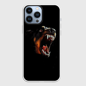 Чехол для iPhone 13 Pro Max с принтом РОТВЕЙЛЕР ,  |  | Тематика изображения на принте: animal | dog | evil | fury | домашние | животные | звери | злой | зубы | клыки | пасть | пес | ротвейлер | собака | ярость