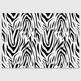 Поздравительная открытка с принтом Черно-белая зебра , 100% бумага | плотность бумаги 280 г/м2, матовая, на обратной стороне линовка и место для марки
 | Тематика изображения на принте: зебра | модный | молодежный | популярный | современный | тигровый | тренд | черно белый