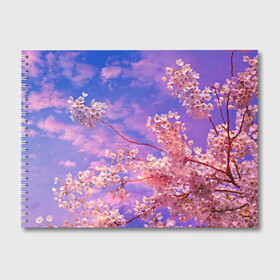 Альбом для рисования с принтом Сакура , 100% бумага
 | матовая бумага, плотность 200 мг. | весна | дерево | деревья | лепестки | лес | лето | листья | май | на каждый день | небо | облака | осень | поле | розовый цветок | сакура | солнце | тропики | флора | цветок | цветочки | цветы
