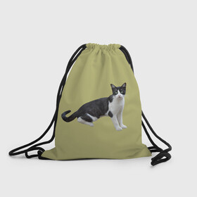 Рюкзак-мешок 3D с принтом смотрящая кошка , 100% полиэстер | плотность ткани — 200 г/м2, размер — 35 х 45 см; лямки — толстые шнурки, застежка на шнуровке, без карманов и подкладки | 3d | голова | домашнее животное | животное | зверь | кот | котёнок | кошка