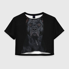 Женская футболка Crop-top 3D с принтом Кане-корсо | собака , 100% полиэстер | круглая горловина, длина футболки до линии талии, рукава с отворотами | dog | домашние животные | кане корсо | питбуль | собака | собаки