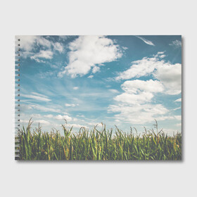 Альбом для рисования с принтом Небушко и полюшко , 100% бумага
 | матовая бумага, плотность 200 мг. | небо | облака | пейзаж | поле | русский | славянский | фотопринт