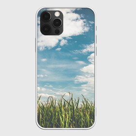Чехол для iPhone 12 Pro с принтом Небушко и полюшко , силикон | область печати: задняя сторона чехла, без боковых панелей | небо | облака | пейзаж | поле | русский | славянский | фотопринт