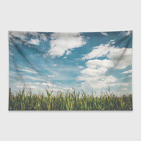 Флаг-баннер с принтом Небушко и полюшко , 100% полиэстер | размер 67 х 109 см, плотность ткани — 95 г/м2; по краям флага есть четыре люверса для крепления | небо | облака | пейзаж | поле | русский | славянский | фотопринт