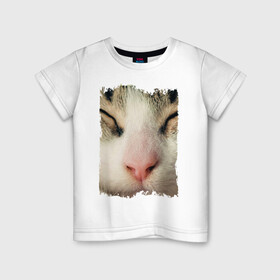 Детская футболка хлопок с принтом Котик , 100% хлопок | круглый вырез горловины, полуприлегающий силуэт, длина до линии бедер | домашние животные | животные | забавные животные | кот | нос | нос кота | полосатый кот | розовый нос