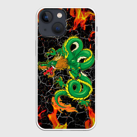 Чехол для iPhone 13 mini с принтом Дракон Огонь Dragon Fire ,  |  | beast | dragon | fire | горелый | дракон | животные | зверь | змей | когти | огонь | пепел | пламя | узор | чб | японский