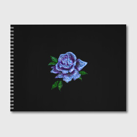 Альбом для рисования с принтом Сапфировая роза , 100% бумага
 | матовая бумага, плотность 200 мг. | Тематика изображения на принте: rose | лазурная | роза | сапфир | сапфировая | сапфировый | цветок | цветочек | цветочки | цветы