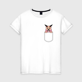 Женская футболка хлопок с принтом Шлёпа в кармане , 100% хлопок | прямой крой, круглый вырез горловины, длина до линии бедер, слегка спущенное плечо | flopa | floppa | каракал | кот мем | мем с котом | русский кот | шлёпа