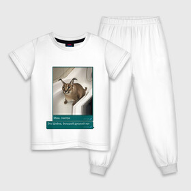 Детская пижама хлопок с принтом Шлёпа , 100% хлопок |  брюки и футболка прямого кроя, без карманов, на брюках мягкая резинка на поясе и по низу штанин
 | Тематика изображения на принте: каракал | кот | мемы | русский кот | рысь | шлёпа