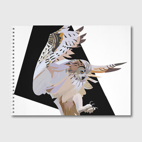 Альбом для рисования с принтом Сова в деле , 100% бумага
 | матовая бумага, плотность 200 мг. | арт | дикие животные | дикие звери | дикие птицы | животное | животные | лягушка | охота | природа | птица | птицы | рисунок | сова
