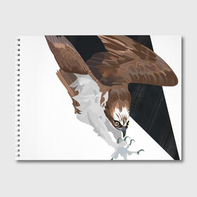 Альбом для рисования с принтом Орёл в деле , 100% бумага
 | матовая бумага, плотность 200 мг. | арт | дикие животные | дикие звери | дикие птицы | животное | животные | золотая рыба | золотая рыбка | орёл | природа | птица | птицы | рисунок | рыба | рыбка | хищник в деле