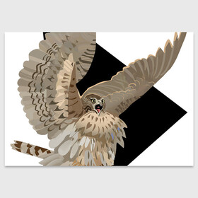 Поздравительная открытка с принтом Орёл в шоке , 100% бумага | плотность бумаги 280 г/м2, матовая, на обратной стороне линовка и место для марки
 | арт | в шоке | дикие животные | дикие звери | дикие птицы | животное | животные | орёл | природа | птица | птица в шоке | птицы | рисунок